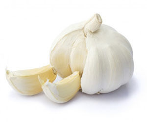 White Garlic