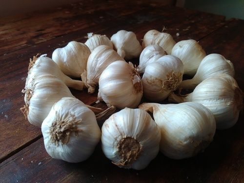 White Garlic