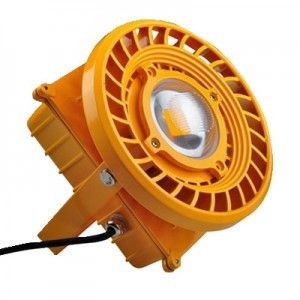 explosion proof light