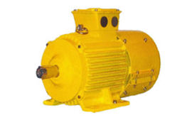 Low Voltage Motors: Crane Duty Cage Motors