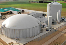 Biogas Storage Systems