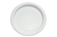 Paper Plate