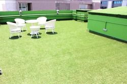 Artificial Grass