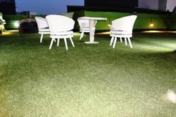 Garden Artificial Grass