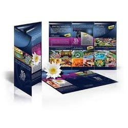 Brochure Printing Services