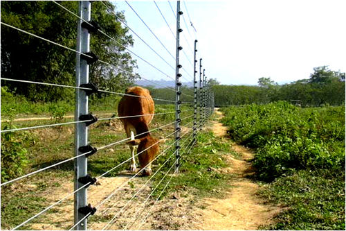 Agriculture Solar Fencing