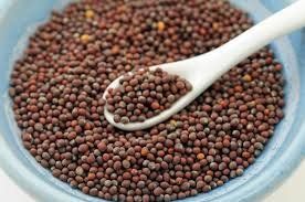 Black Mustard Seed