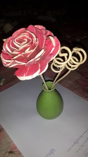Sola Rose Pot