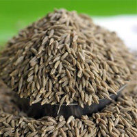 Cumin Seeds