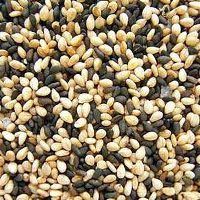 Sesame Seeds