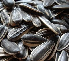 Organic Sunflower Seeds