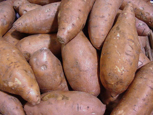 Sweet Potato