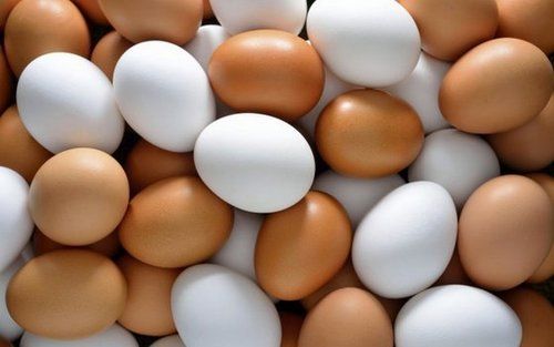 Fresh Chicken Brown And White Table Eggs