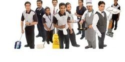 Housekeeping Manpower Services C10H8Nao4P