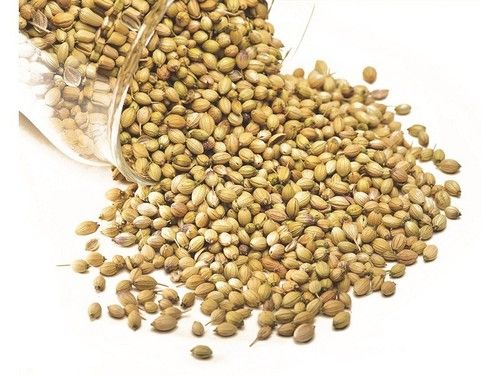 Coriander Seeds