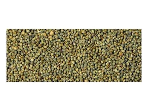 Green Millet Bajra