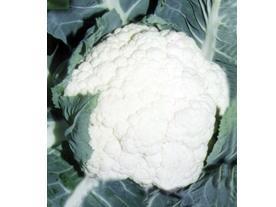 Mid-Late Cauliflower