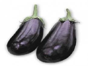 Purple Round Brinjal