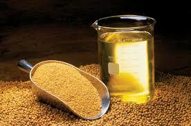 Refined Soyabean Oil