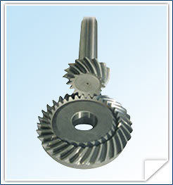 Bevel Gear