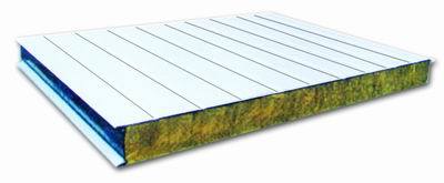 Pre Insulated Cold Storage Panels