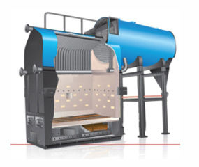 Gas Fuel Fired Boilers