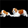 Stuffed Dog Toys