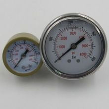 Hydraulic Gauge