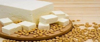 Soya Paneer - Soft and Mild Texture, Rich in Protein, Hygienically Processed, Long Shelf Life