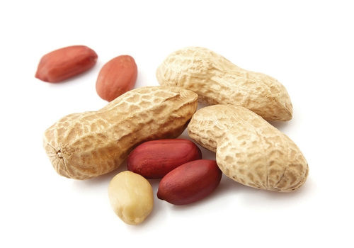 Peanut Seed (Groundnut Kernel)