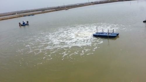 Paddle Wheel Aerators - High Grade Material, Lightweight Design | Adjustable Oxygen Supply for Enhanced Efficiency