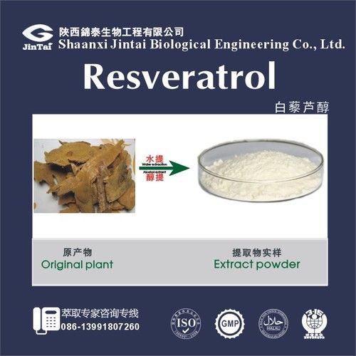 98% Natural Resveratrol Powder
