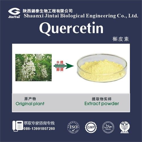 98% Quercetin Extract Powder