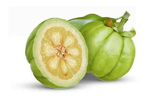 Garcinia Cambogia Extract