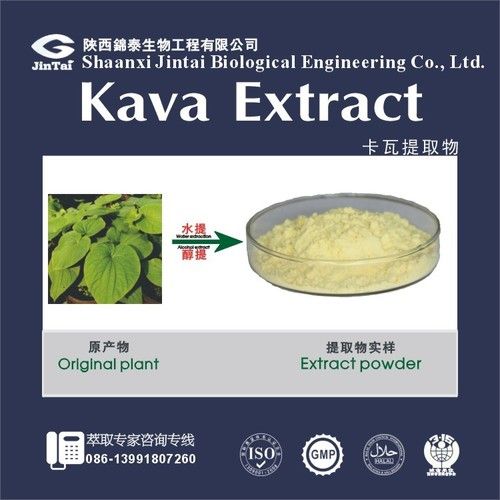 Herbal Kava Powder Extract 50%