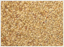 Imported Wheat Malt