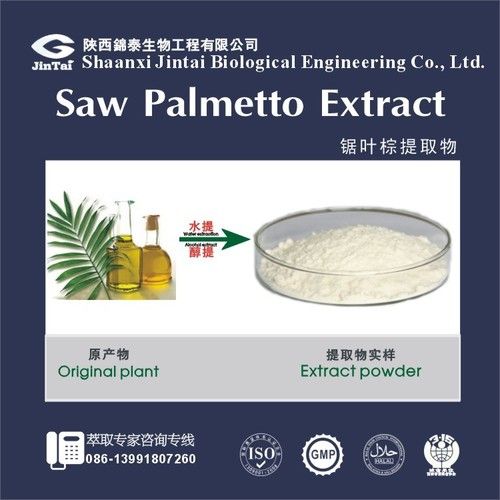 Natural Powder 45% Saw Palmetto