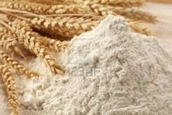 Wheat Flour Improver