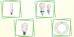 Cfl Bulb