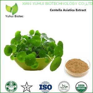 Centella Asiatica Extract