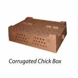 Corrugated Chick Box