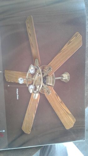 Ceiling Fans