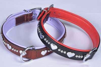 Dog Collars