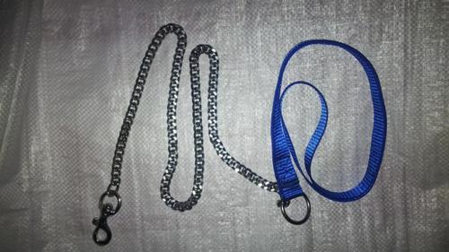 Dog Leads