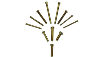 Mahavir Brass Screws