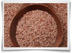 Psyllium Seeds (Isabgul)