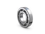 Robust Deep Groove Ball Bearings