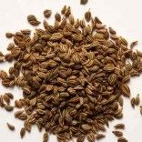 Ajwain Essential Oil