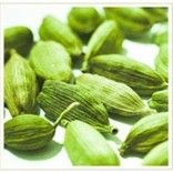 Cardamom Essential Oil