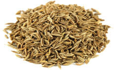 Cumin Seed